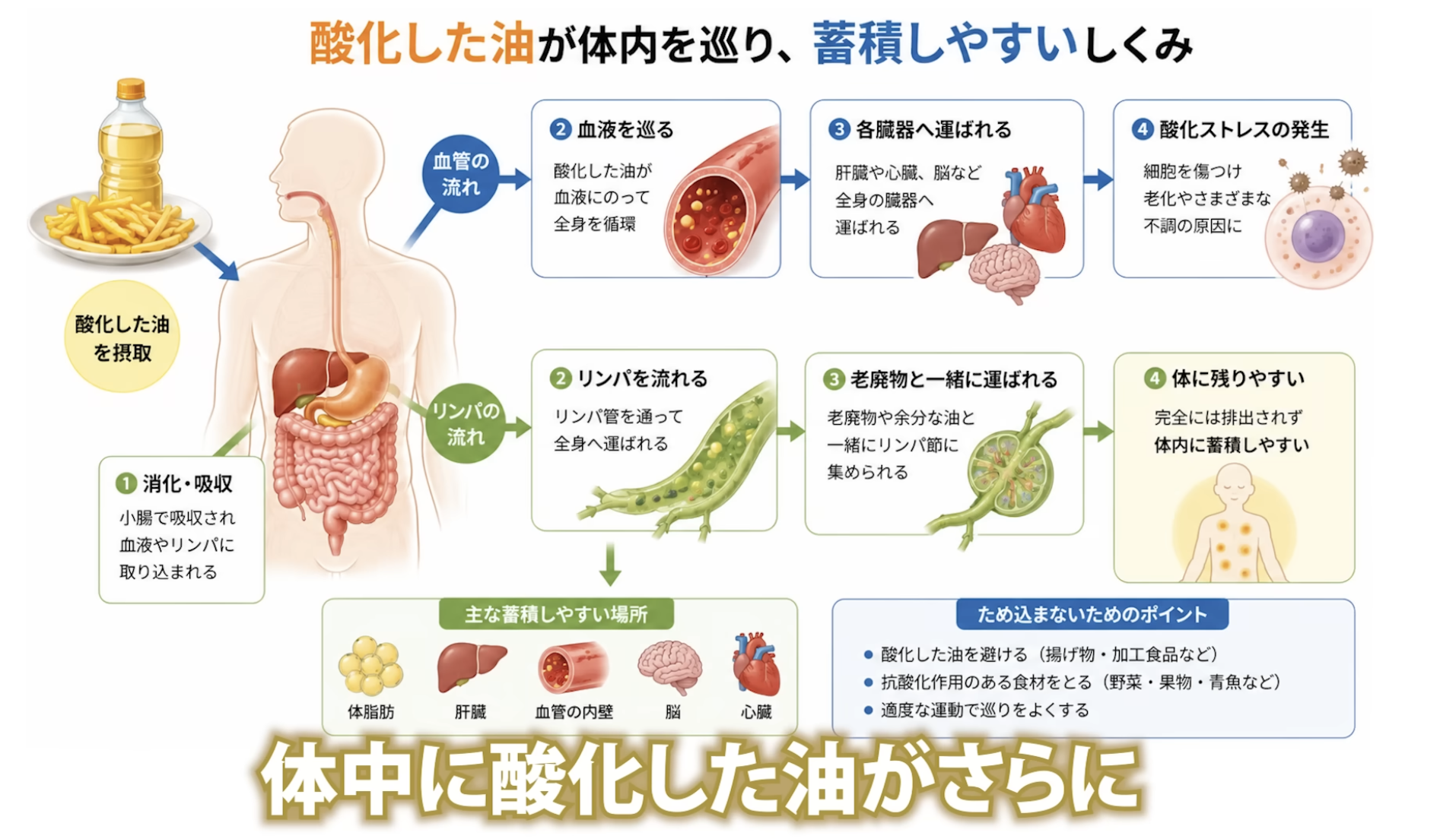 2:10頃/酸化した油の体への影響を説明するシーン