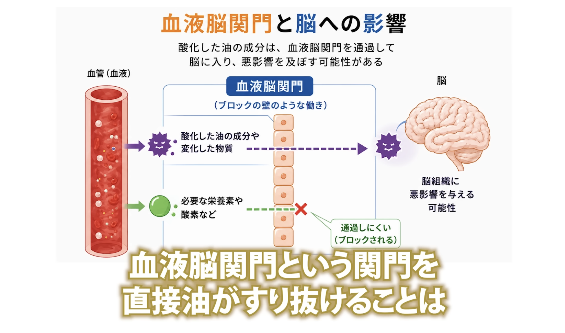 4:37頃/脳と血液の関係を説明するシーン