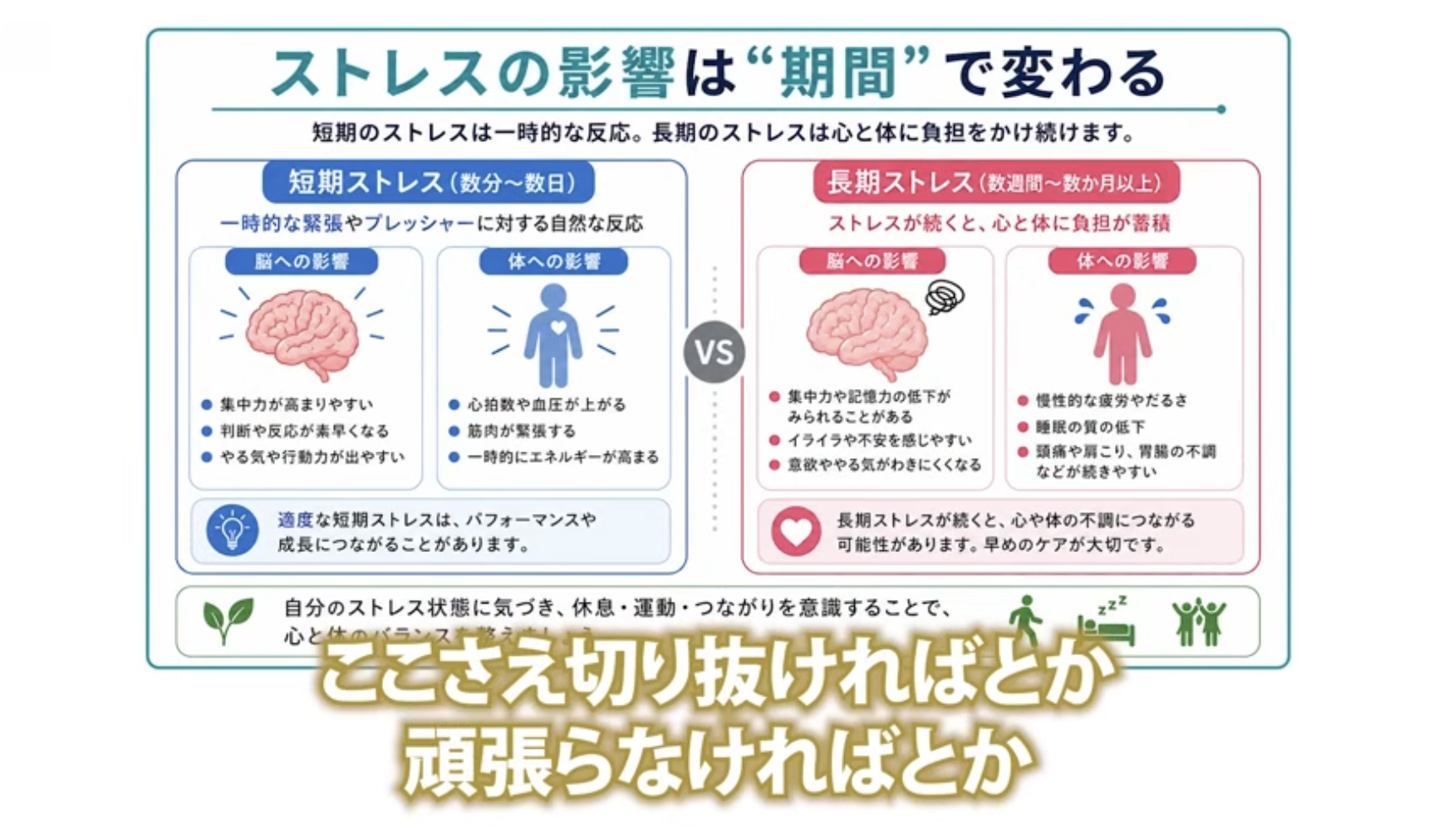 12:03頃／コルチゾールと神経の傷つきについて説明するシーン
